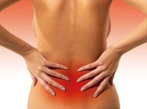 The reasons for Spy in the lower back